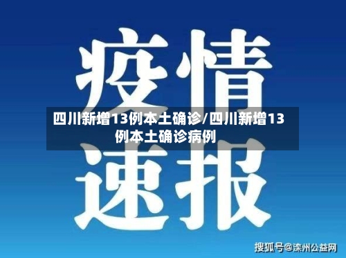 四川新增13例本土确诊/四川新增13例本土确诊病例