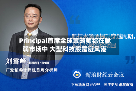 Principal首席全球策略师称在脆弱市场中 大型科技股是避风港