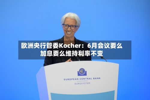 欧洲央行管委Kocher：6月会议要么加息要么维持利率不变