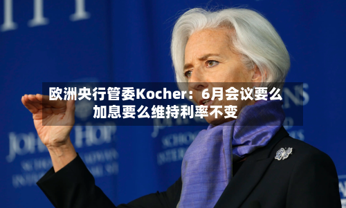 欧洲央行管委Kocher:6月会议要么加息要么维持利率不变-第2张图片