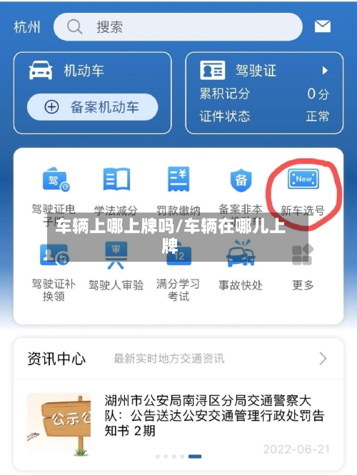 车辆上哪上牌吗/车辆在哪儿上牌-第2张图片