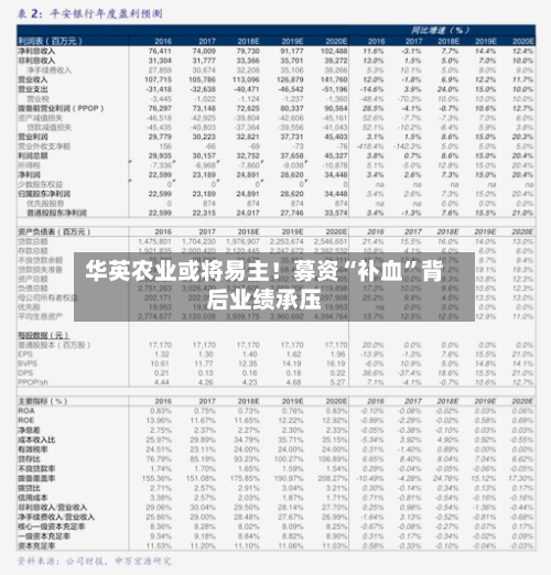 华英农业或将易主！募资“补血”背后业绩承压-第3张图片