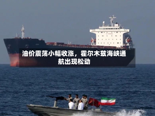 油价震荡小幅收涨，霍尔木兹海峡通航出现松动-第3张图片