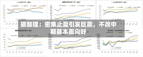 碳酸锂：密集止盈引发巨震，不改中期基本面向好-第2张图片
