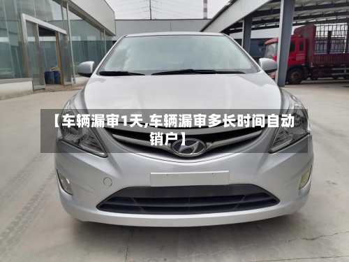 【车辆漏审1天,车辆漏审多长时间自动销户】