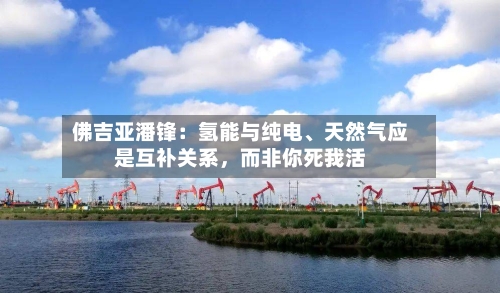 佛吉亚潘锋：氢能与纯电	、天然气应是互补关系	，而非你死我活-第2张图片
