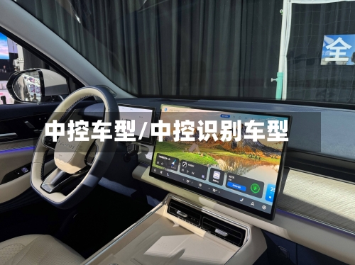 中控车型/中控识别车型