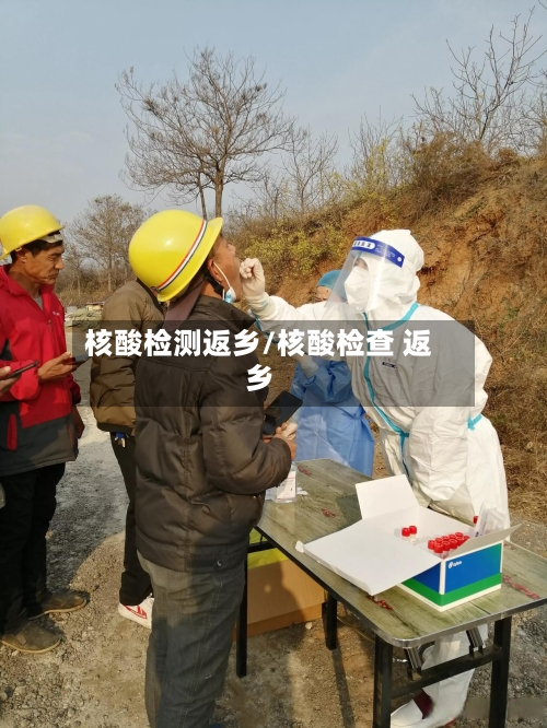 核酸检测返乡/核酸检查 返乡