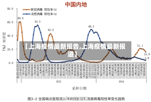 【上海疫情最新报告,上海疫情最新报道】-第3张图片