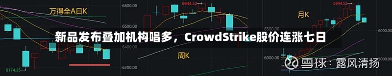 新品发布叠加机构唱多	，CrowdStrike股价连涨七日-第2张图片