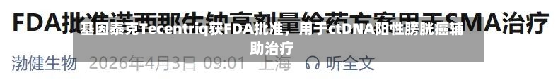 基因泰克Tecentriq获FDA批准，用于ctDNA阳性膀胱癌辅助治疗-第3张图片