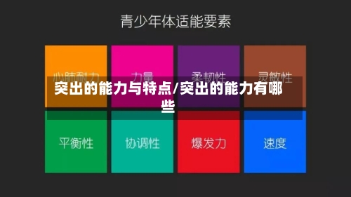 突出的能力与特点/突出的能力有哪些