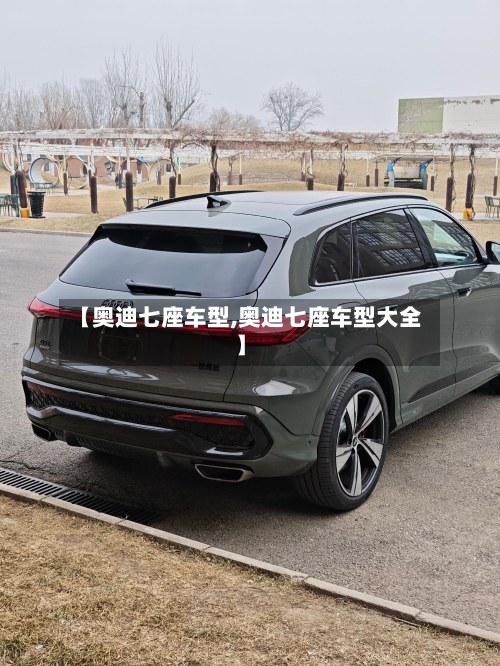 【奥迪七座车型,奥迪七座车型大全】-第2张图片
