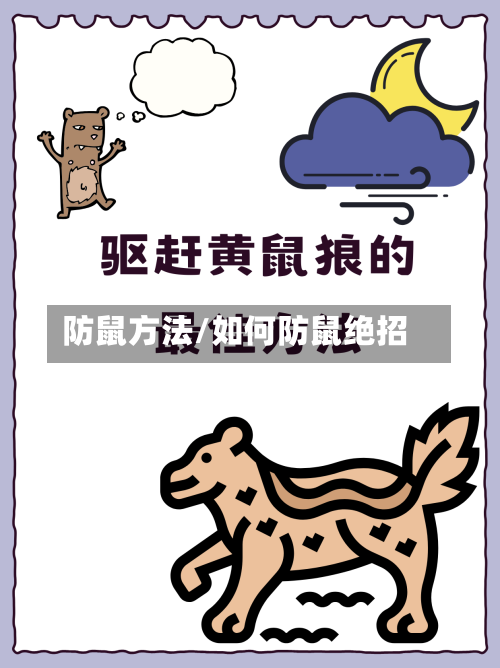 防鼠方法/如何防鼠绝招