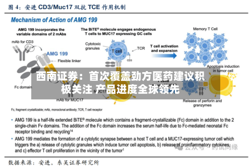 西南证券:首次覆盖劲方医药建议积极关注 产品进度全球领先-第2张图片