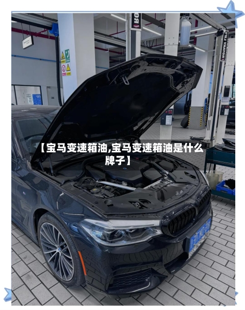 【宝马变速箱油,宝马变速箱油是什么牌子】-第2张图片
