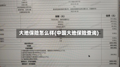 大地保险怎么样(中国大地保险查询)