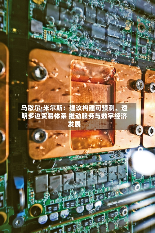 马歇尔·米尔斯：建议构建可预测、透明多边贸易体系 推动服务与数字经济发展-第2张图片