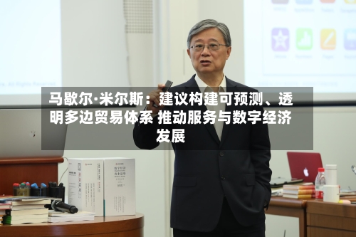 马歇尔·米尔斯：建议构建可预测、透明多边贸易体系 推动服务与数字经济发展-第3张图片
