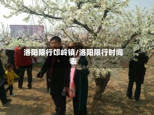 洛阳限行邙岭镇/洛阳限行时间表-第2张图片