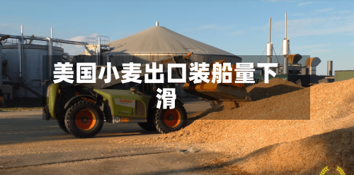 美国小麦出口装船量下滑