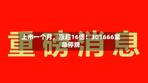 上市一个月，涨超16倍！301666紧急停牌-第2张图片