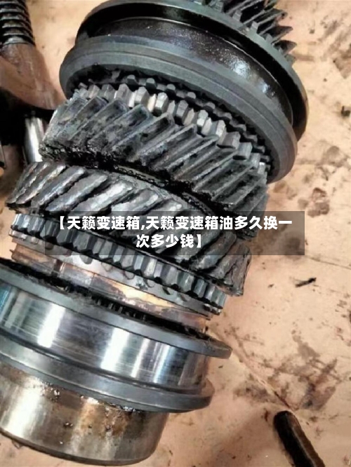 【天籁变速箱,天籁变速箱油多久换一次多少钱】-第3张图片