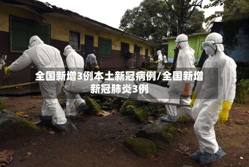全国新增3例本土新冠病例/全国新增新冠肺炎3例-第2张图片