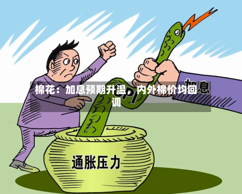 棉花：加息预期升温	，内外棉价均回调-第3张图片