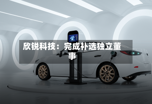 欣锐科技：完成补选独立董事