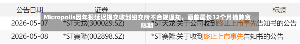 Micropolis因年报延迟提交收到纽交所不合规通知，面临最长12个月摘牌宽限期-第2张图片