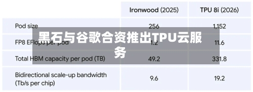 黑石与谷歌合资推出TPU云服务