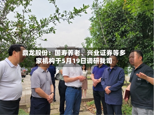 鼎龙股份:国寿养老、兴业证券等多家机构于5月19日调研我司