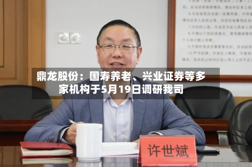 鼎龙股份：国寿养老	、兴业证券等多家机构于5月19日调研我司-第3张图片