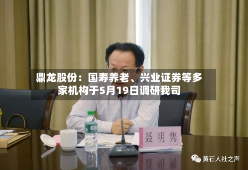 鼎龙股份：国寿养老、兴业证券等多家机构于5月19日调研我司-第2张图片