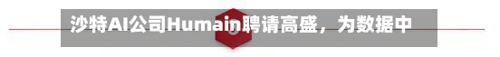 沙特AI公司Humain聘请高盛,为数据中心建设筹措超53亿美元融资
