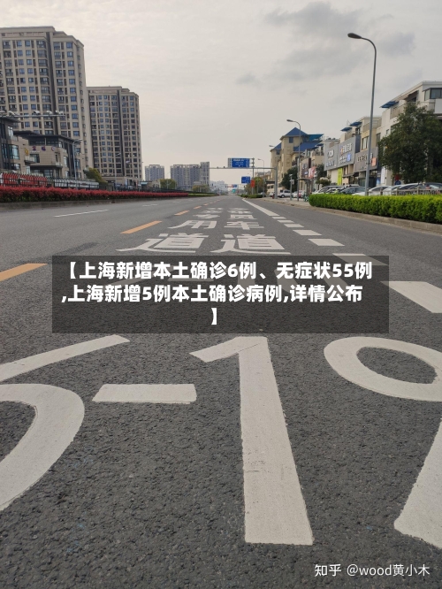 【上海新增本土确诊6例	、无症状55例,上海新增5例本土确诊病例,详情公布】-第3张图片