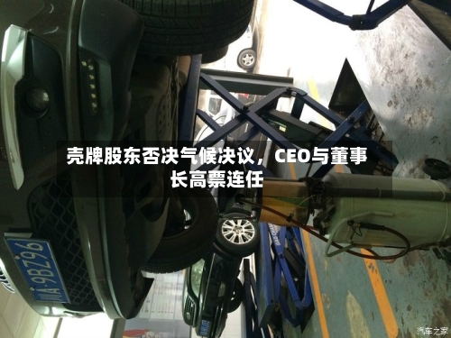 壳牌股东否决气候决议，CEO与董事长高票连任-第2张图片