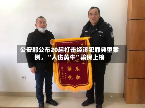 公安部公布20起打击经济犯罪典型案例,“人伤黄牛”骗保上榜