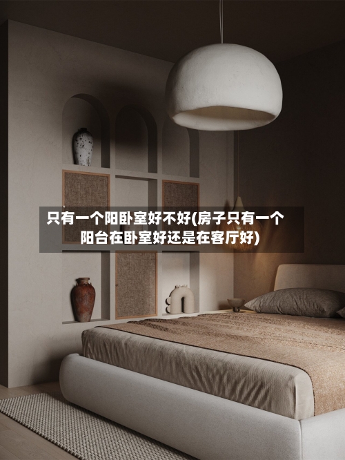只有一个阳卧室好不好(房子只有一个阳台在卧室好还是在客厅好)