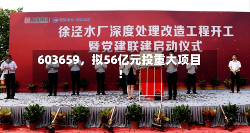 603659，拟56亿元投重大项目！-第2张图片