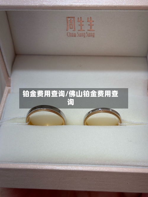 铂金费用查询/佛山铂金费用查询-第2张图片