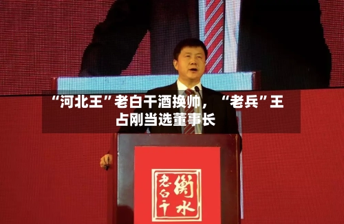 “河北王	”老白干酒换帅， “老兵”王占刚当选董事长-第2张图片