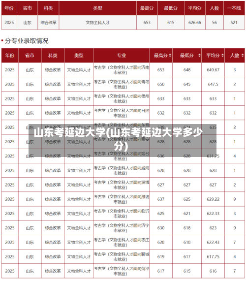 山东考延边大学(山东考延边大学多少分)-第2张图片
