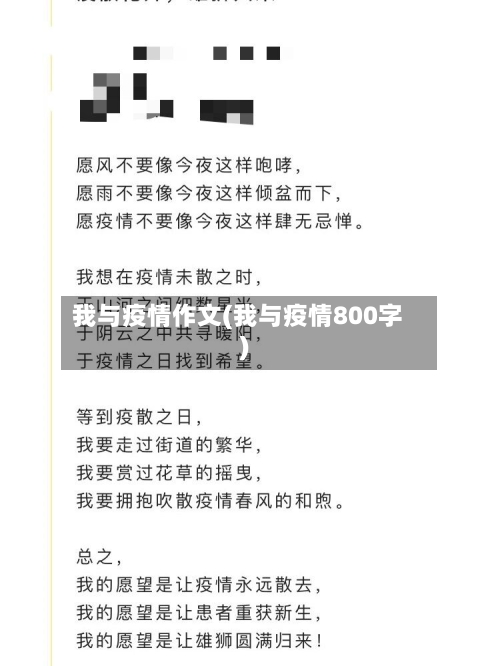 我与疫情作文(我与疫情800字)