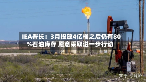 IEA署长:3月投放4亿桶之后仍有80%石油库存 愿意采取进一步行动