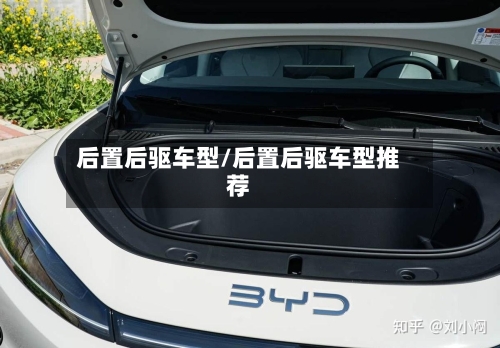 后置后驱车型/后置后驱车型推荐