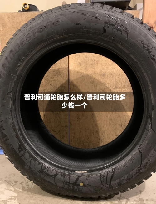 普利司通轮胎怎么样/普利司轮胎多少钱一个-第2张图片