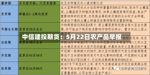 中信建投期货：5月22日农产品早报-第3张图片