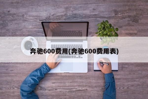 奔驰600费用(奔驰600费用表)